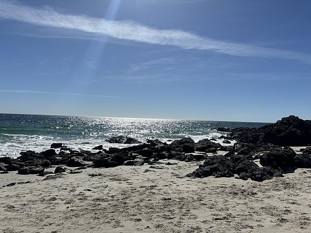 IMG 0642
