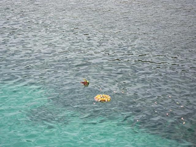 DSCF4207.jpg