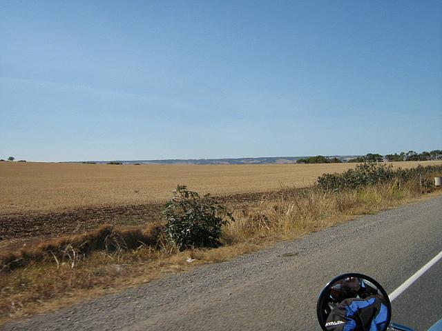 IMG_3162.JPG