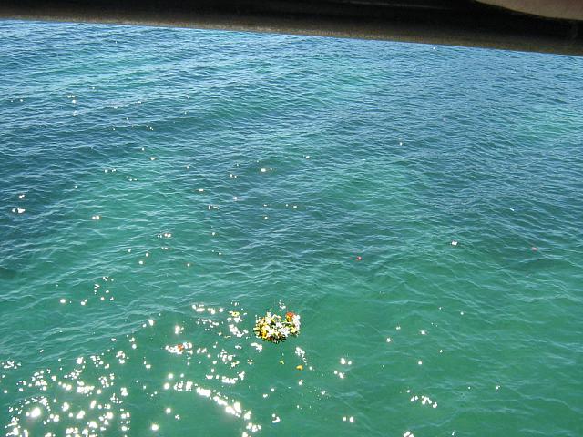 IMG_3248.JPG