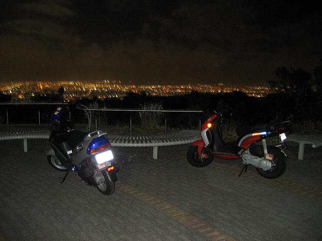 IMG 2956