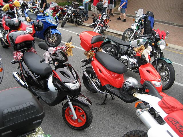 IMG 2993