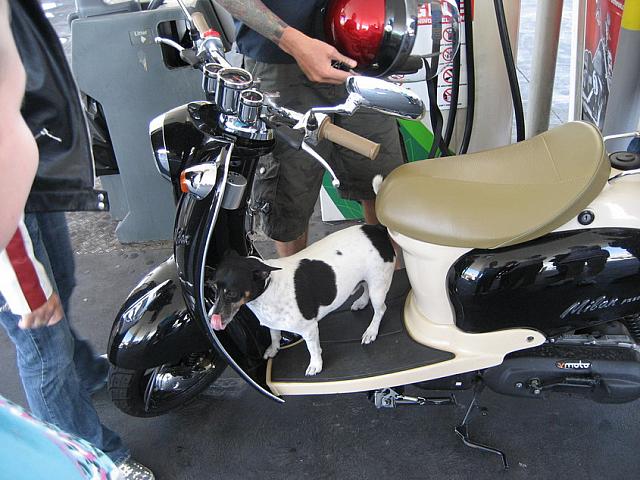 IMG 3514