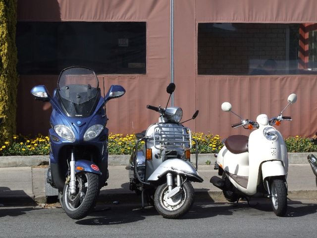 DSCF0172.JPG