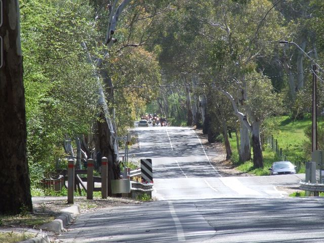DSCF0197.JPG