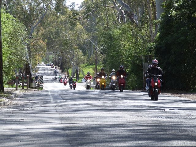DSCF0201.JPG