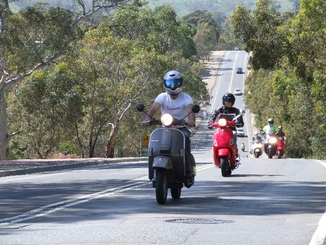 DSCF0211.JPG