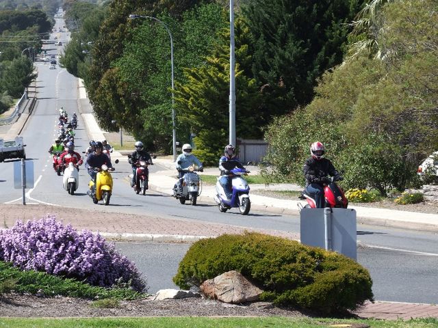 DSCF0223.JPG