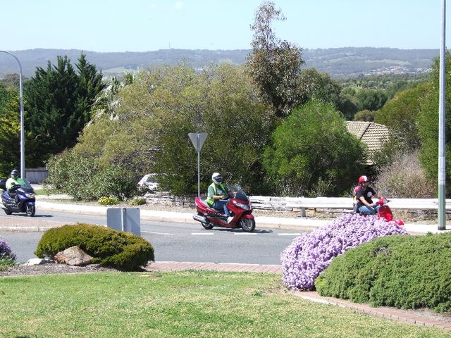 DSCF0229.JPG