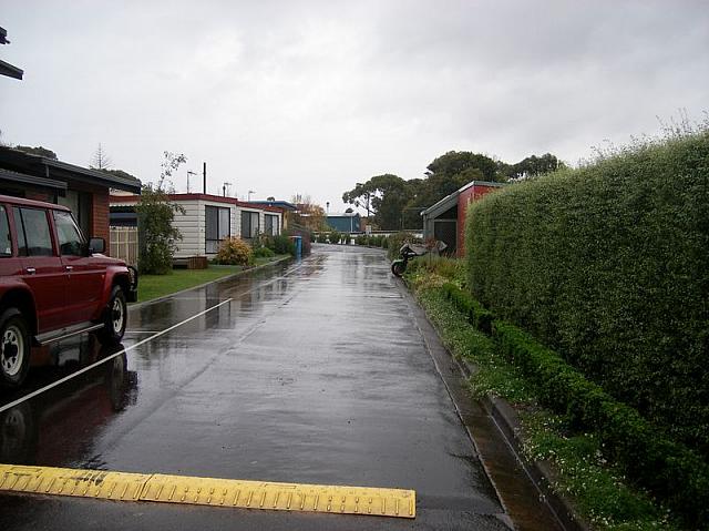 229.JPG