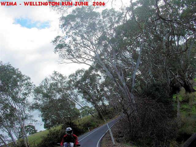 DSC01539