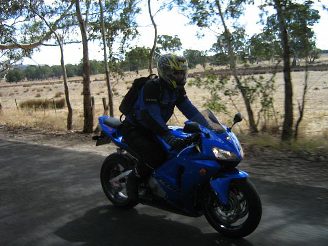 Photo courtesy of Sonia