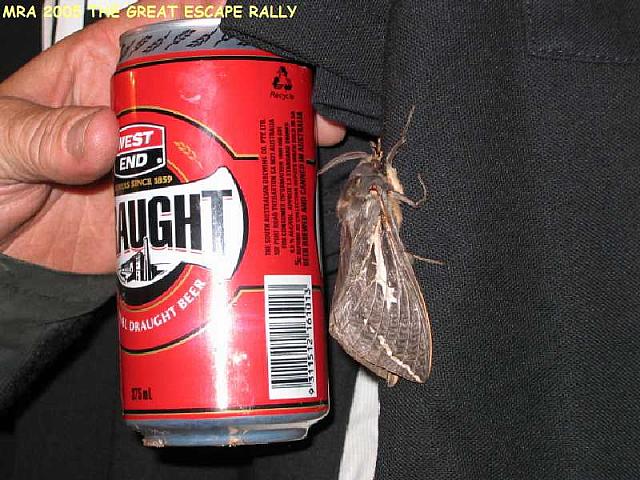 IMG 0393 9 5