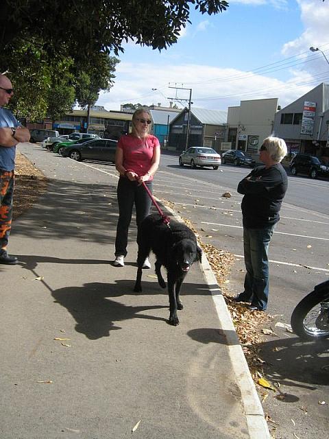 Photo courtesy of Sue (she is the one driving the blue car as her bike is in the shop!)