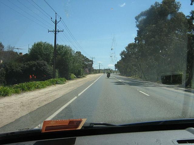 IMG_6955.JPG