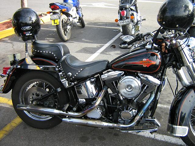 IMG 0975