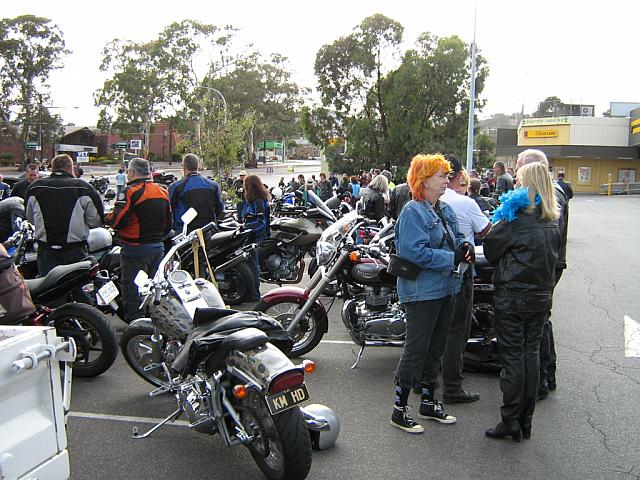 IMG 0982