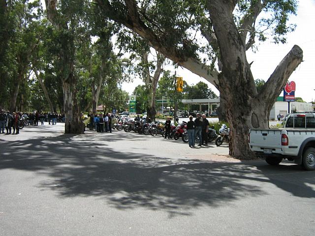 IMG 0989