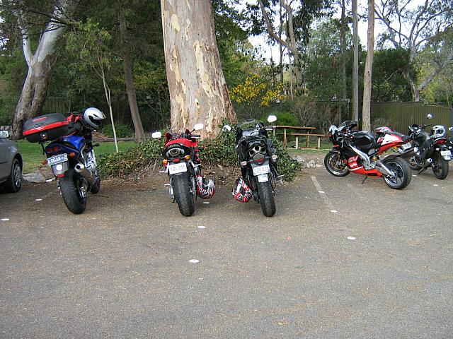 IMG 1149