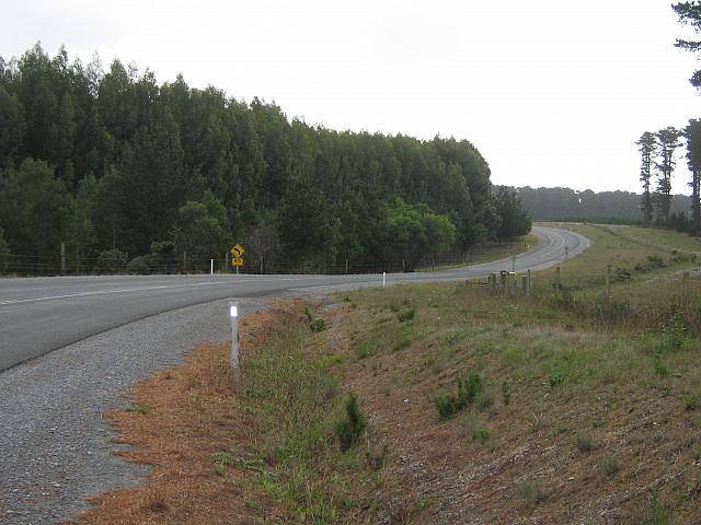 IMG 1259