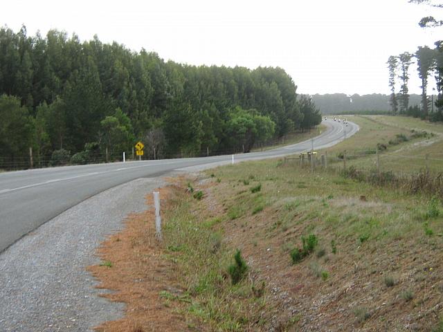 IMG 1260