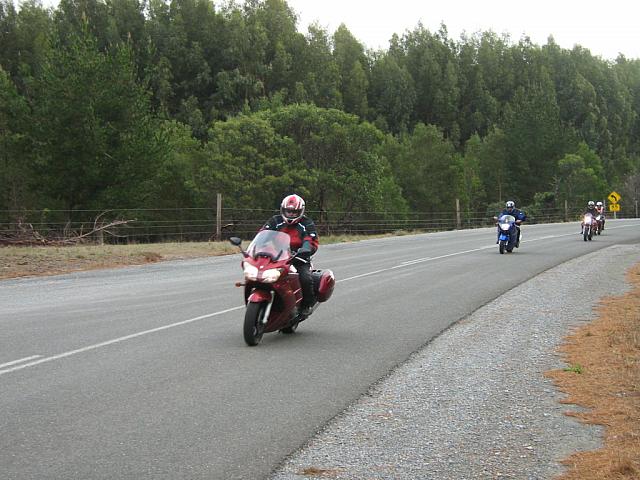 IMG 1264
