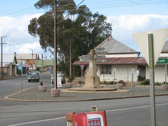 IMG 1544