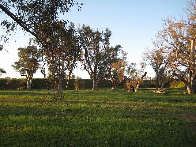IMG_8317.JPG