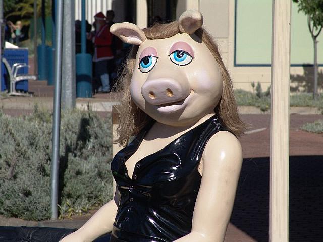 DSC01149