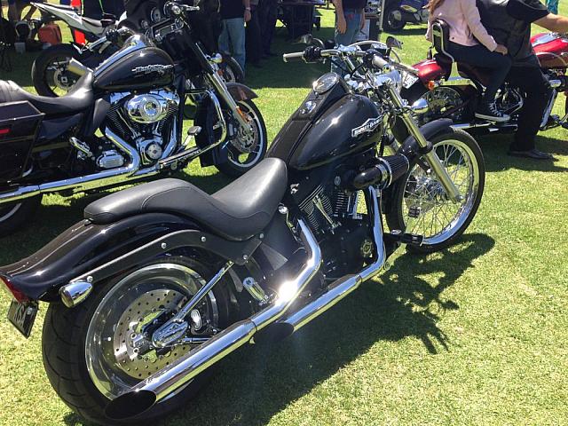 TR2014 SShine 2997
