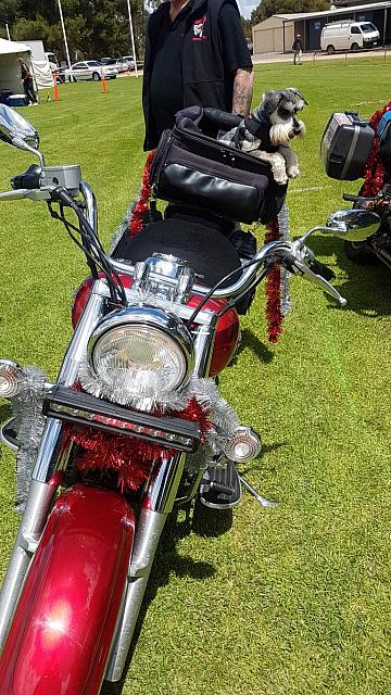 ToyRun2017 142002