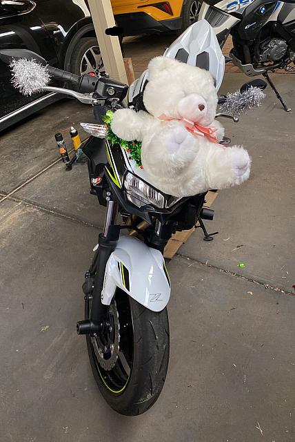 ToyRun2022 1031