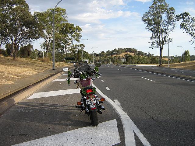 IMG 0373