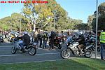DSCF0447