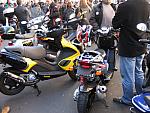 IMG 2645