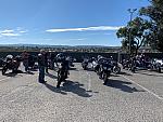 IMG 8654