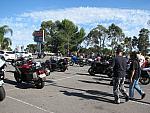 IMG_0802.jpg
