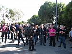 IMG_0806.jpg