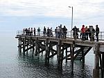 IMG_0832.jpg