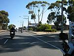 IMG_3135.JPG