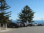 IMG_3207.JPG
