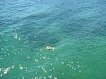 IMG_3249.JPG