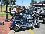 IMG_3281.JPG