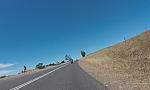 G0010953