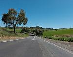 G0010439