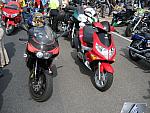 IMG 2987