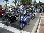 IMG 2988