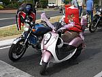 IMG 2989