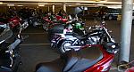 IMGP3750.JPG