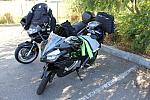 IMG_1569.JPG
Courtesy Rene